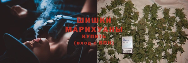 тгк Бородино