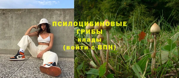 прущая мука Бугульма