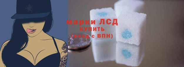мяу мяу мука Богородицк