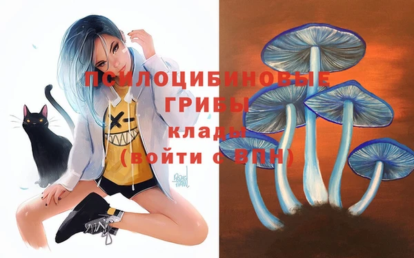 марки nbome Богданович