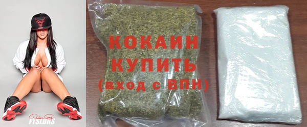 тгк Бородино
